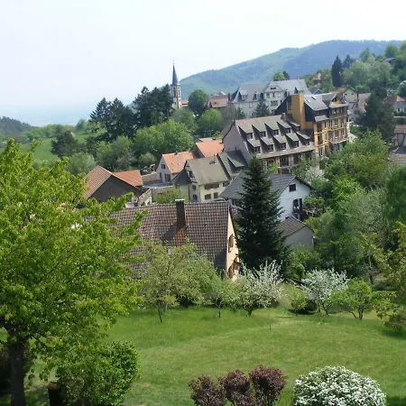 Gite Martins Thannenkirch Exterior foto