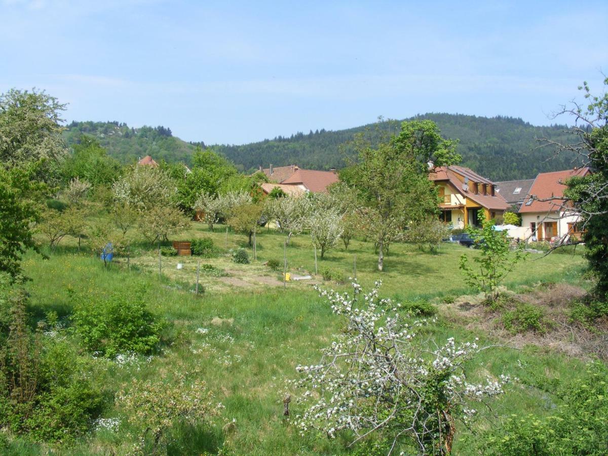 Apartamento Martins